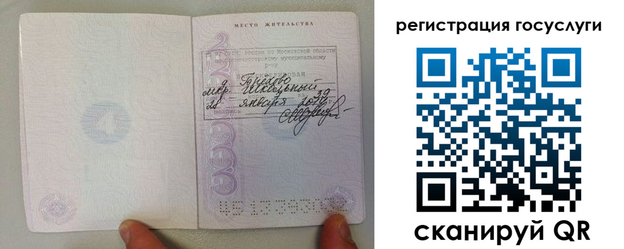 пропишу в квартире в Краснознаменске
